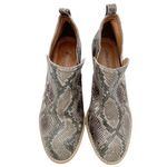 Jeffrey Campbell  Rosalee Taupe Gray Snake Print Leather Western Bootie Size 8.5 Photo 8