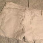 Venus Shorts Photo 1