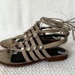 Rebecca Minkoff Evonne Taupe Grey Suede Lace Up Strappy Gladiator Sandals 6 Photo 4
