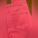 Pilcro and the Letterpress  by Anthropologie High-Rise Skinny Ankle Jeans Size 32 Photo 10