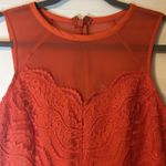 Adelyn Rae  Blood-Orange Lace Shift Cocktail Dress Size‎ Small Photo 3