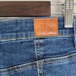 BDG Urban Outfitters Pin Up High Rise Shorts Size 28 Photo 3