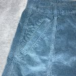 American Eagle Corduroy Hi-rise A-line Mink Skirt Photo 3