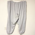 SKIMS  Kim Kardashian Plus Size 4X Light Blue Cotton Jogger Sweatpants Photo 3