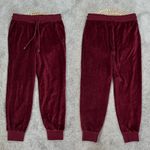 Gap Women’s Velour Jogger Pants Pull On Mid Rise Loungewear in Burgundy S Photo 2