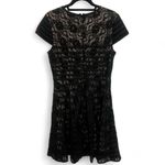 Alfani  lace cap sleeve fully lined fit & flare dress size 10 black and nude Photo 1