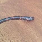 Quay Australia Quay Tortoise Shell Big Sunglasses Photo 4