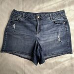 Lane Bryant Venezia By  Plus Size Women's Blue Denim‎ Distressed Shorts Size 16 Photo 0