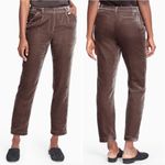 Garnet Hill Size 6 Soft Velvet Pants Black Pleated Tapered Trouser Photo 14