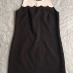 J.Crew Scalloped Shift Business Casual Work Dress Photo 1