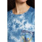 CONEY ISLAND PICNIC Yosemite Mountains Tie Dye Short Sleeve Tee Blue NWT XS Photo 3