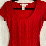 Max Studio  Bodycon‎ Dress Photo 3