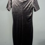 ZARA  Velvet Dress (brownish silver) Photo 2