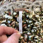 Free People Sweater Cardigan Size XS Boho Grandmacore Hippie Indie Brown Crochet Photo 9