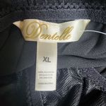 Dentelle Black Mesh Babydoll (XL) Photo 4