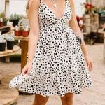 Davi & Dani NWT  Dalmatian polka dot dress Photo 0