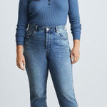 Everlane The Curvy 90s Cheeky Straight Jeans High Rise Vintage Mid Blue Women 27 Photo 0