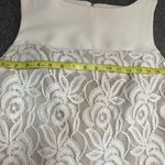 Sandra Darren Dress Womens 6P Neutral Colorblock Embroidered Sleeveless Sheath Photo 3