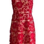 ECI New York Red Floral Lace Overlay Sleeveless Knee Length Holiday Dress Size 6 Photo 0