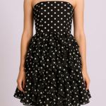White House Black Market Flirty Strapless Polka Dot Coctail Dress Size: 0 Photo 0