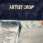 American Eagle Artist Crop Super Stretch Jeans Size 6 Photo 6