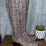 Born Brown Python Snakeskin Audriana Tall Heeled Boot Suede Fall Mobwife Sz 7.5M Photo 1