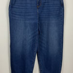 Ann Taylor  The Barrel High Rise Petite Jeans Women's Size 10P Photo 0