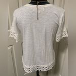 Loft NWOT Ann Taylor  Lace Shirt Photo 1
