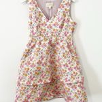 NWT Flora Bea Terina Dress in Magnolia Tea Floral Fit & Flare Size Large L Pink Photo 1