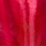 Blondie Nites  by Jaslene‎ Formal Skirt Prom Red Shimmer Organza Maxi Photo 6