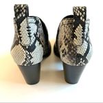 Jeffrey Campbell SHARK Snake-Embossed Ankle Bootie Photo 4