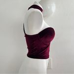 A'Gaci A’GACI Burgundy Velvet Bustier Crop Top with Choker Neck Size MEDIUM NWT Photo 2