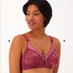Bali  Double Support Lace Wireless Bra Size 40B‎ Lacy Purple Maroon Photo 1