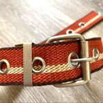 Cära New York orange belt Photo 3