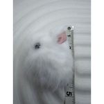 Fluffy White Bunny Keychain Cute Faux Fur Pom Pom Bag Charm Photo 3
