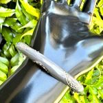 Grey elephant enamel hinged bangle bracelet Gray Photo 7