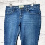 American Rag  Medium Wash Stretch Skinny Jeans Size 13 Short Photo 1