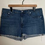 Madewell - High-Rise Denim Shorts Coeling Wash Blue Jeans Summer Photo 1