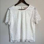 Philosophy White Lace Lined Short Sleeve Top Size M Photo 0
