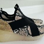Steve Madden ‘Cryme’ Black/ Gold High-Top Sneakers with Snakeskin Print Size 7 Photo 0