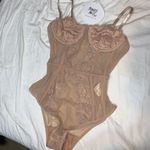 Princess Polly Beige Lace Bodysuit Size S/M NWT! Photo 8
