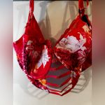 Lane Bryant Bra Women’s 44D Orange Lace Floral Longline Underwire Coral Strap A4 Photo 9