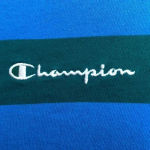 Champion - Blue and Green Striped Long Sleeve Boxy Shirt Photo 2