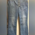 Pilcro and the Letterpress  High Rise Flare Jeans Button Fly Photo 1
