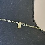 Stella & Dot  Bora Fringe Necklace Photo 4