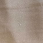 La Femme 26806 Short Sleeve Embroidered Bodice Ruched Mermaid Gown in Champagne Photo 14