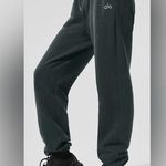 Alo Yoga NWT Accolade Sweatpants Limited Edition Dark Cactus Size XL Unisex Photo 0