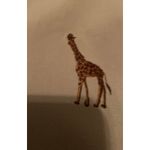 Quacker Factory The Quacker‎ Factory Giraffes Blazer Photo 4