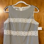 Maggy London  Womens Sleeveless Striped Sheath Dress With Embroidery NWT Size 10 Photo 5