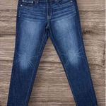 American Eagle  Skinny Jeans Women's 10 long 26 Boy Jean Dark‎ Wash Blue Denim Photo 0